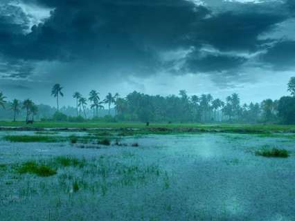 Monsoon moves: Heavy rains in south, gusty winds and thunderstorm in north likely on Saturday