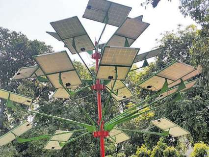 Delhi govt plans to install first solar tree at Secretariat; Here's how it can reshape urban power supply in the capital