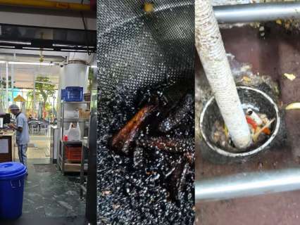 Cockroach infestation, poor sanitation, improper food storage: How 5 Mumbai clubs violated FDA Food Safety norms?