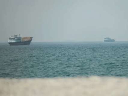 16 Indians killed, 75 injured in West Asia conflict since Feb, says govt