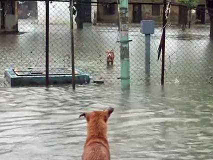 Gujarat, Kerala on red alert as IMD forecasts intense rainfall, thunderstorms