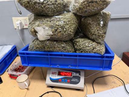 Over 2.7 kg suspected hydroponic weed seized at Delhi international airport