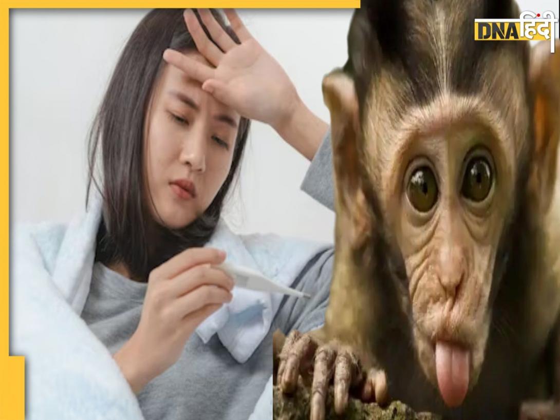 क्या है Monkey Fever, जिसकी वजह से अब तक 4 लोगों की मौत, कैसे करें इससे बचाव?