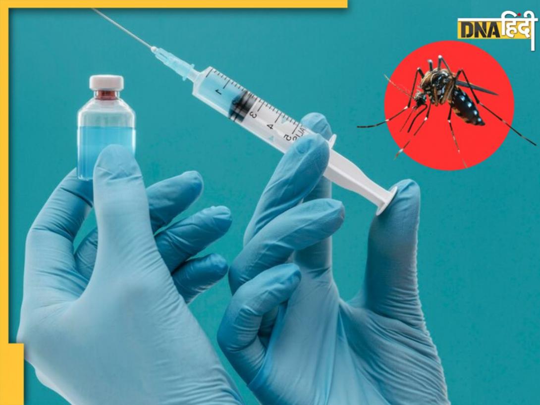 Dengue को मात देगा स्वदेशी टीका! भारत की पहली वैक्सीन के तीसरे चरण का ट्रायल शुरू 