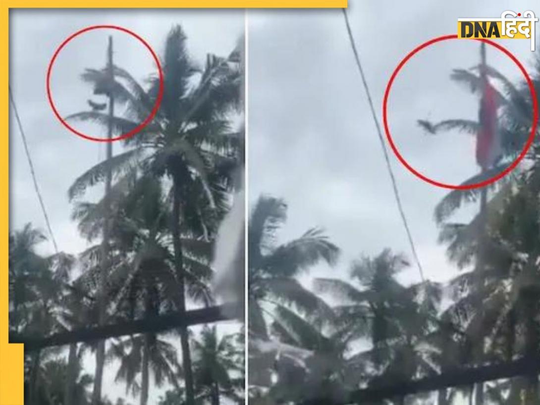 Kerala News : क्या इस पक्षी ने 'फहराया' फंसा हुआ तिरंगा? वायरल वीडियो से सच्चाई आई सामने 