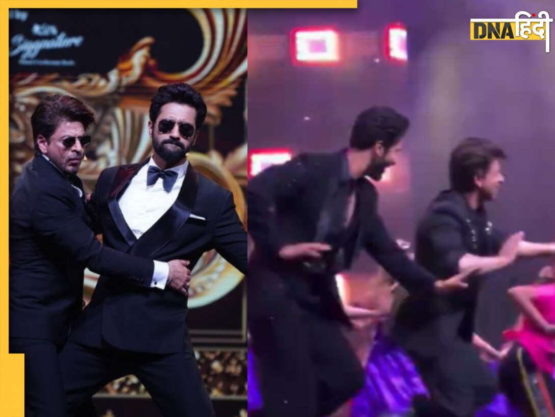 IIFA में Shah Rukh Khan के डांस के आगे फीके पड़े Vicky Kaushal, फैंस बोले 'ये 100 विक्की खा जाएं'