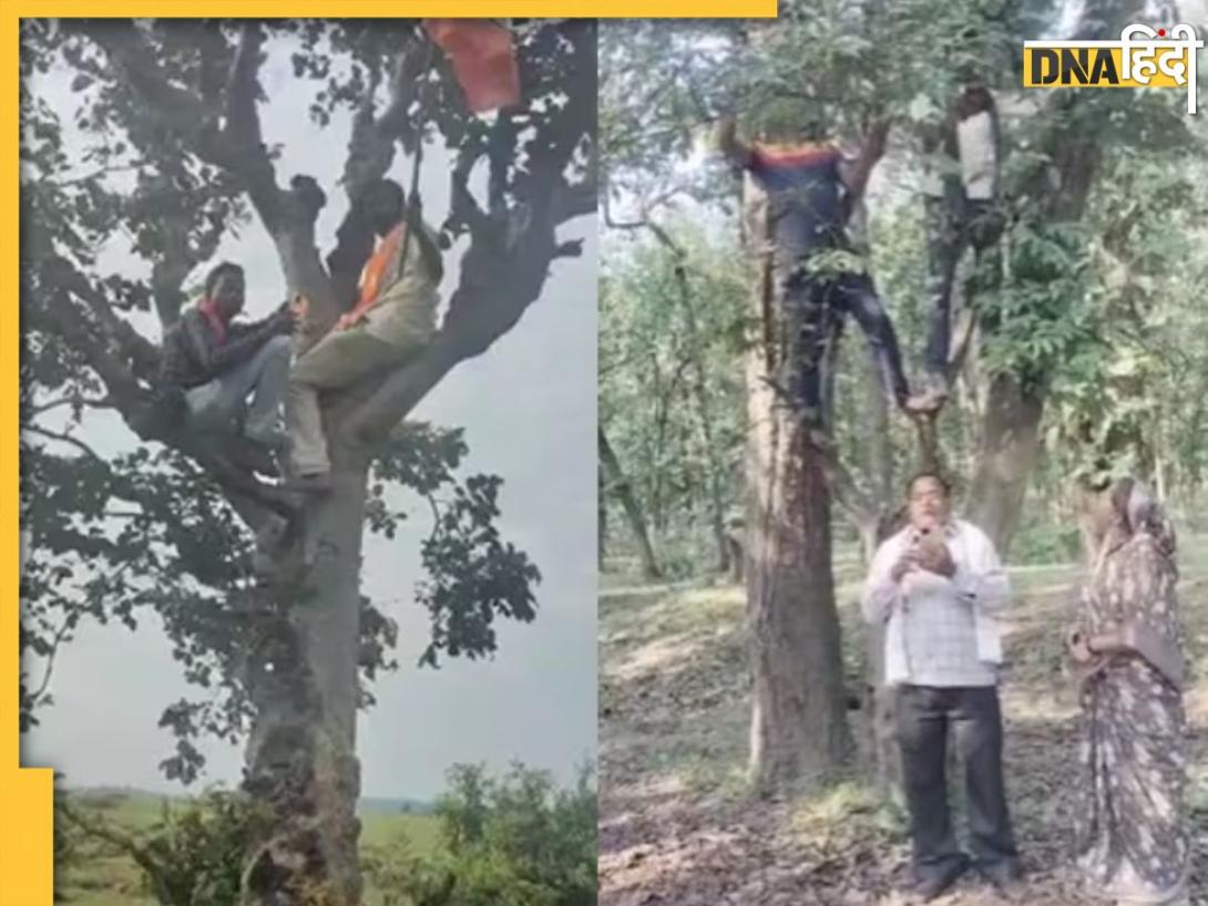 BJP मेंबर्स बनाने का ऐसा जोश, नेटवर्क नहीं मिला तो पेड़ पर चढ़े कार्यकर्ता 