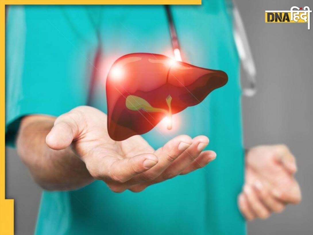 Liver Health: लिवर को डैमेज कर सकती हैं ये 5 चीजें, स्वस्थ रहने के लिए बना लें इनसे दूरी