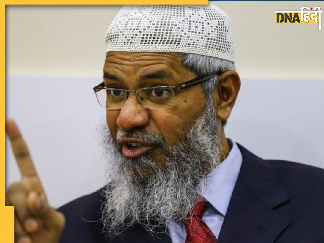 Zakir Naik: 'गोमांस पर प्रतिबंध एक राजनीतिक मुद्दा', पाक की गोद में बैठे जाकिर नाइक ने भारत और बीफ बैन पर क्या कहा