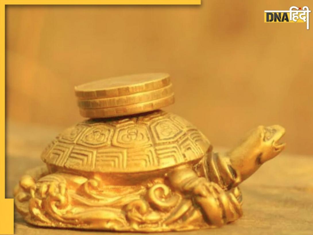 Brass Tortoise: घर में क्यों रखना चाहिए पीतल का कछुआ? जानिए वास्तुशास्त्र में इसे रखने का नियम और फायदे