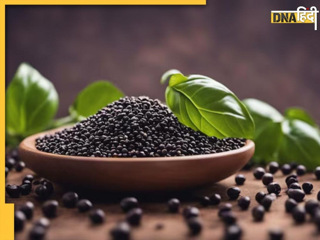 Sabja Seeds Benefits: खाली पेट कर लें इन बीजों का सेवन, वजन कम होने के साथ ही कंट्रोल हो जाएगा Blood Sugar