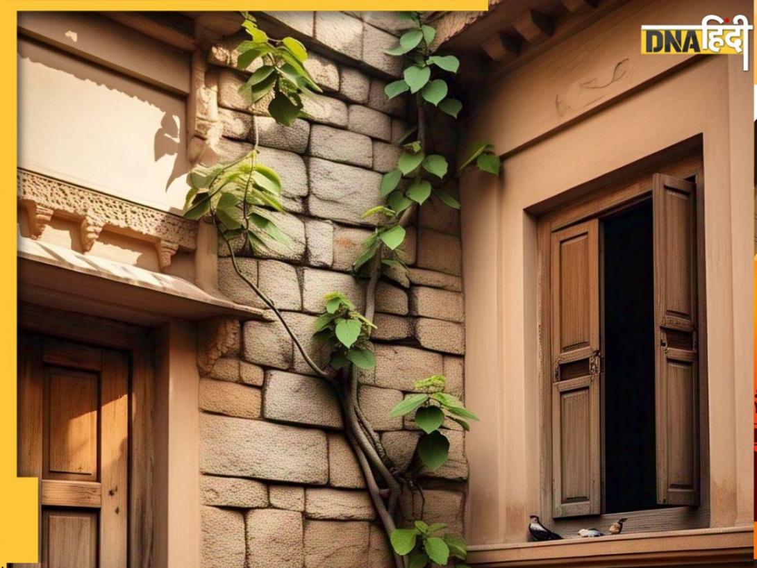 Peepal Tree Cut Rules: घर में उग आए पीपल का पेड़ तो क्या करें? इन नियमों का करें पालन तो नहीं लगेगा कोई पाप