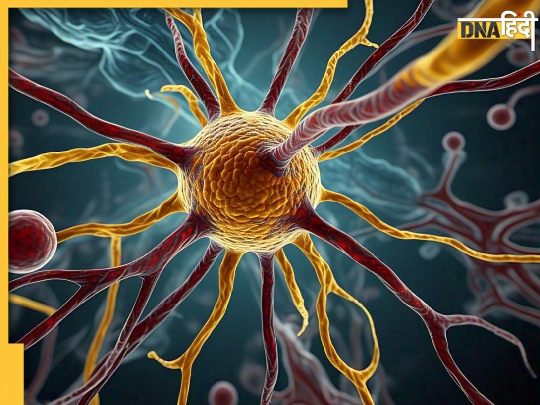 Nerve Blockage Symptoms: नसों में ब्लॉकेज का संकेत देते हैं ये लक्षण, जानें कारण और बचाव के उपाय