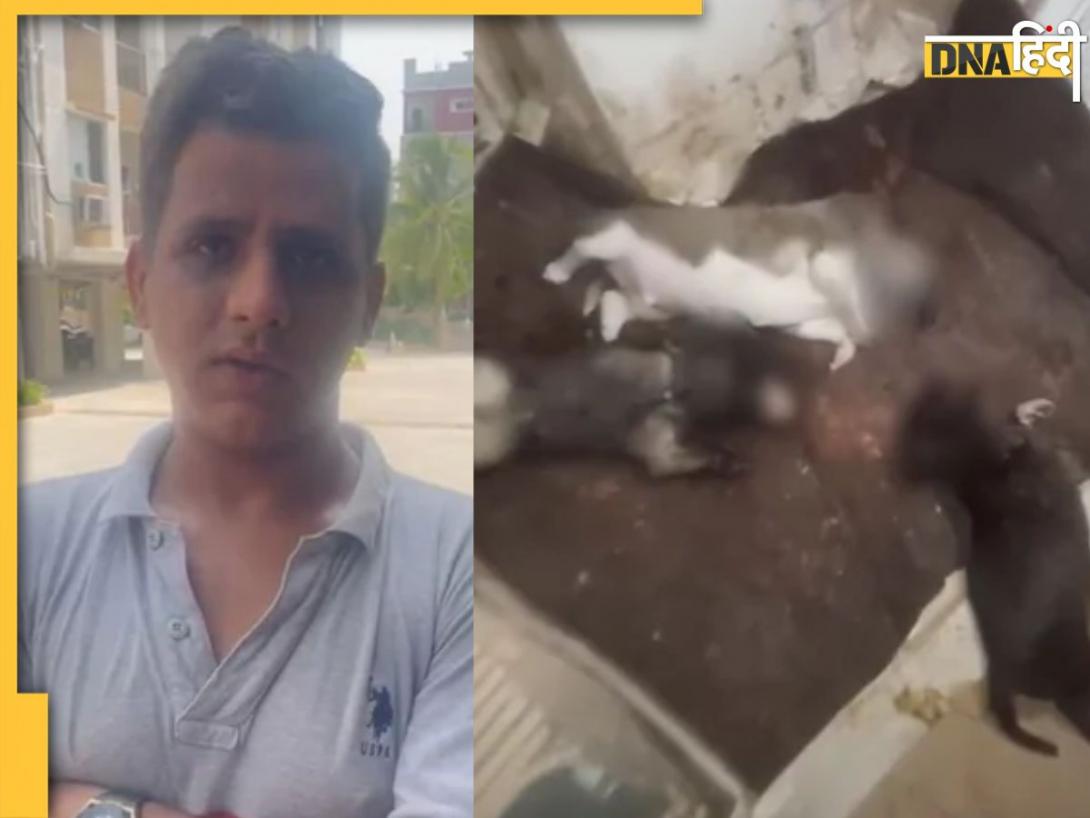 Shocking Video: आवारा पिल्ले उठाए, फिर दीवार पर पटककर दी मौत, Hyderabad में कुत्ता प्रेमी बिजनेसमैन की हैवानियत