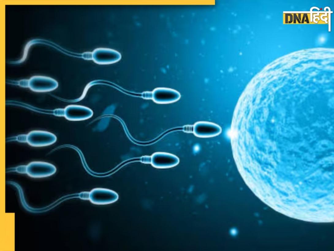 दुनिया में पहली बार होगी Sperm Race, लाइव देखेंगे लोग, 'Male Fertility' से जुड़ा है कनेक्शन