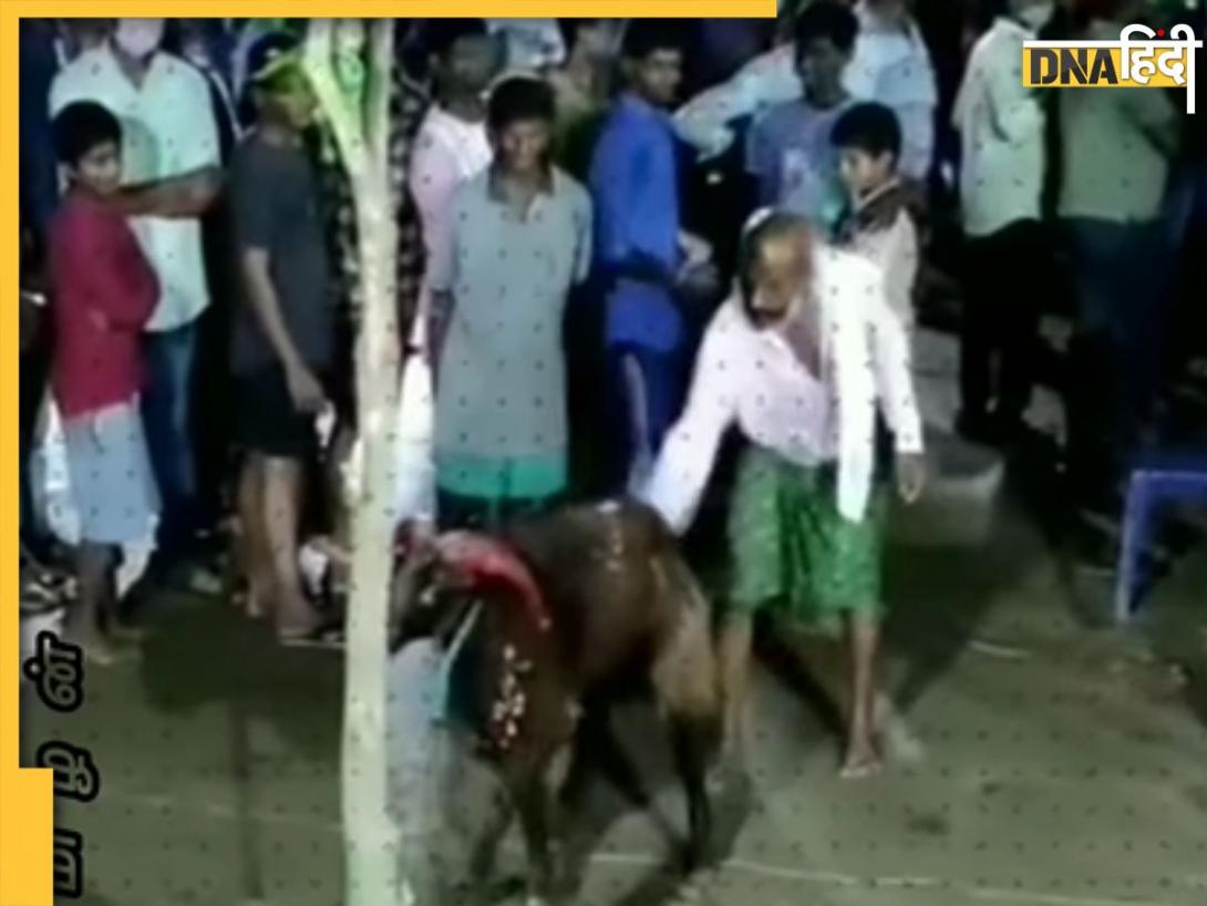 Viral: बकरे के सामने चाचा बन रहे थे आयरनमैन, दिमाग खिसकते ही बकरे ने कर दिया हमला, देखें Video
