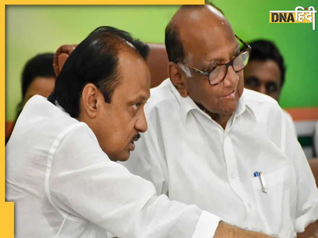Maharashtra News: टूटे परिवारों के एक होने का दौर! ठाकरे भाइयों के बाद चाचा शरद पवार और भतीजे अजित पवार में सुलह के आसार