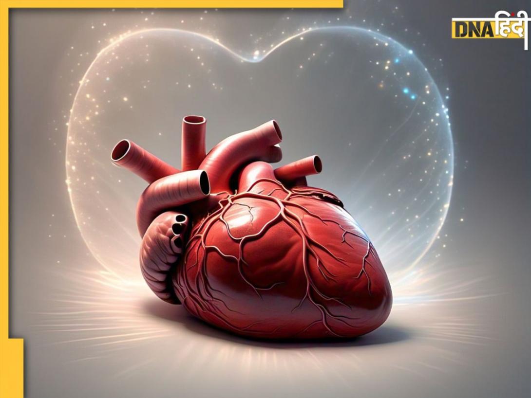 Heart Blockage खोल देंगे ये आसान टिप्स, दिल की सेहत रहेगी दुरुस्त