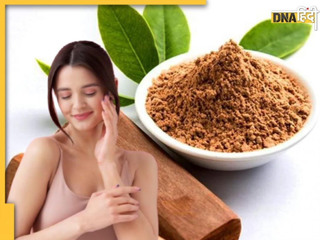 Summer Face Pack: चंदन से बने ये 4 तरह के फेस पैक चमका देंगे आपकी स्किन, ग्लोइंग और बेदाग होगी त्वचा