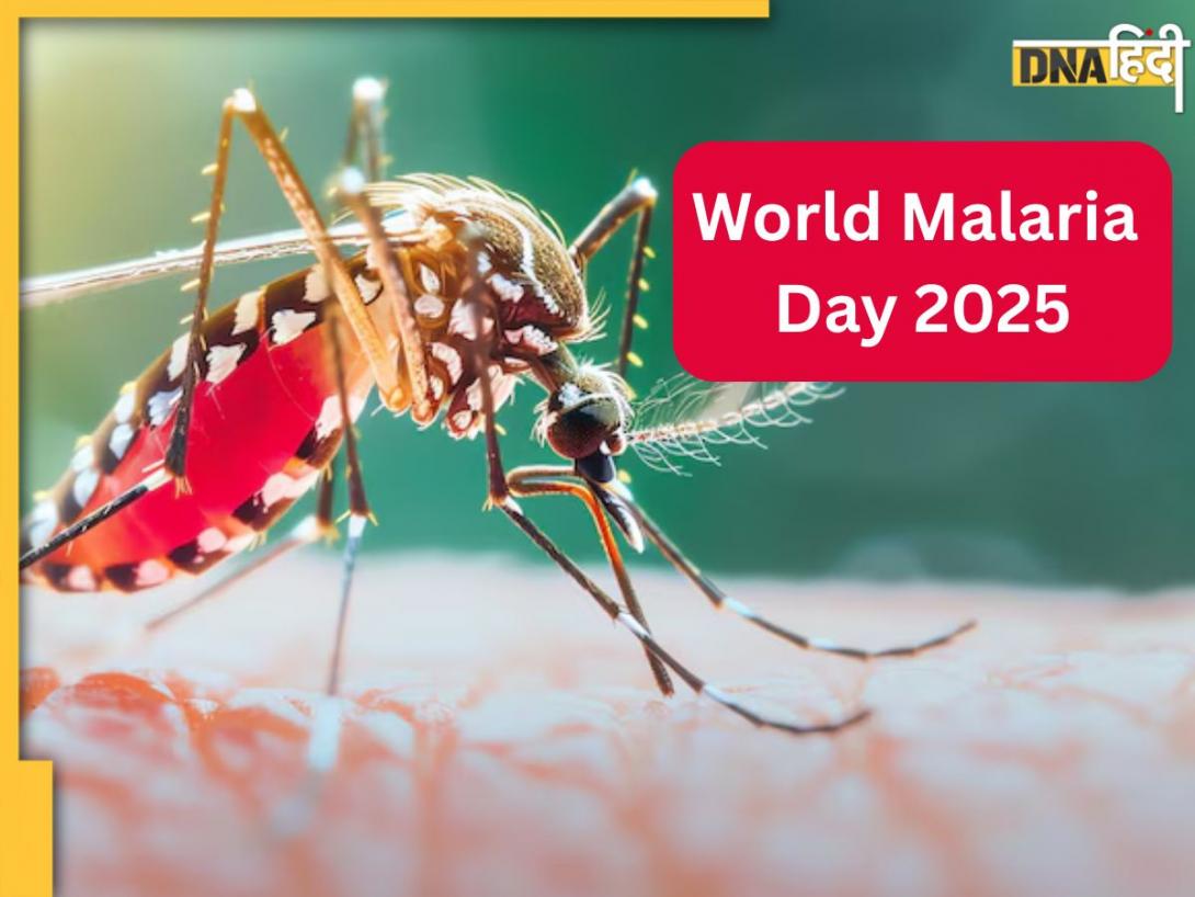World Malaria Day 2025: भीषण गर्मी के साथ मलेरिया का अटैक! कैसे इस खतरनाक बीमारी से खुद को रखें सेफ?