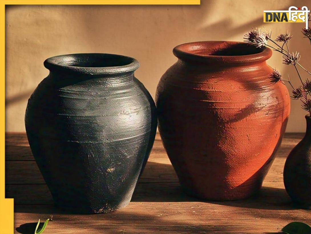 Black VS Red Matka: काला या लाल, जानिए गर्मी में पानी को ठंडा रखने के लिए कौन सा मटका है सही 