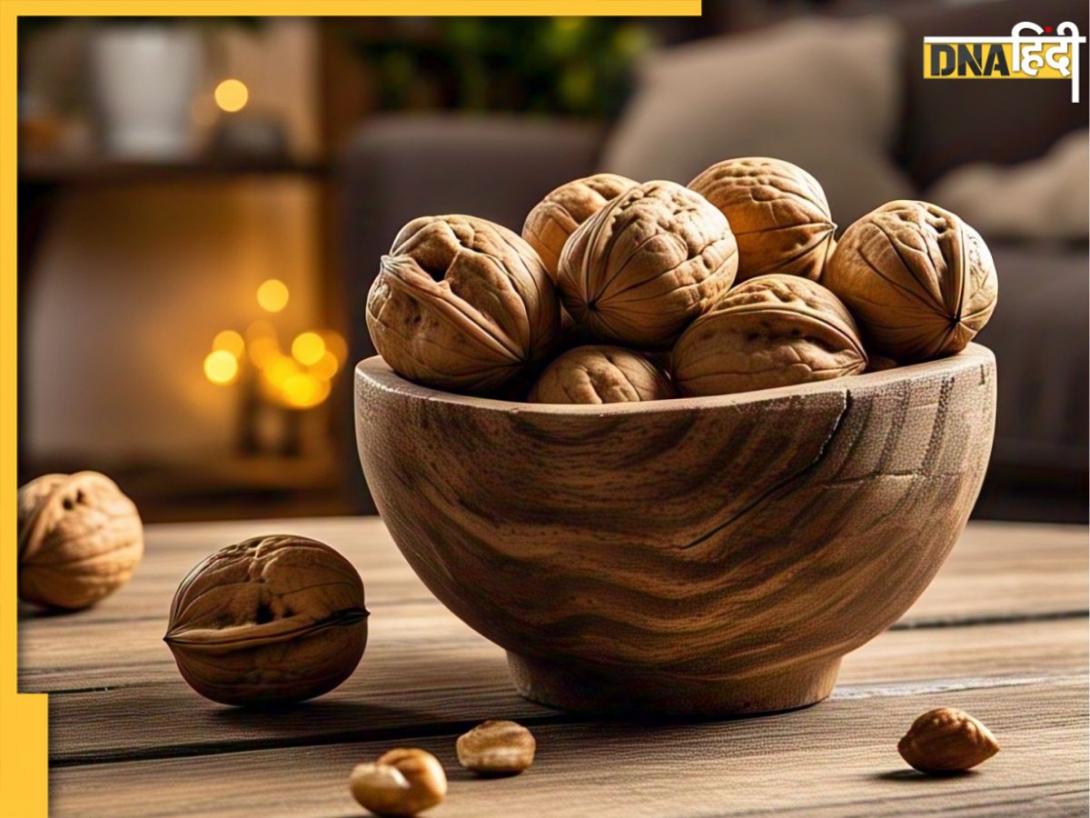 Walnuts Benefits: गर्मी में कैसे खाएं अखरोट? जानें सही तरीका और क्या हैं इसके फायदे