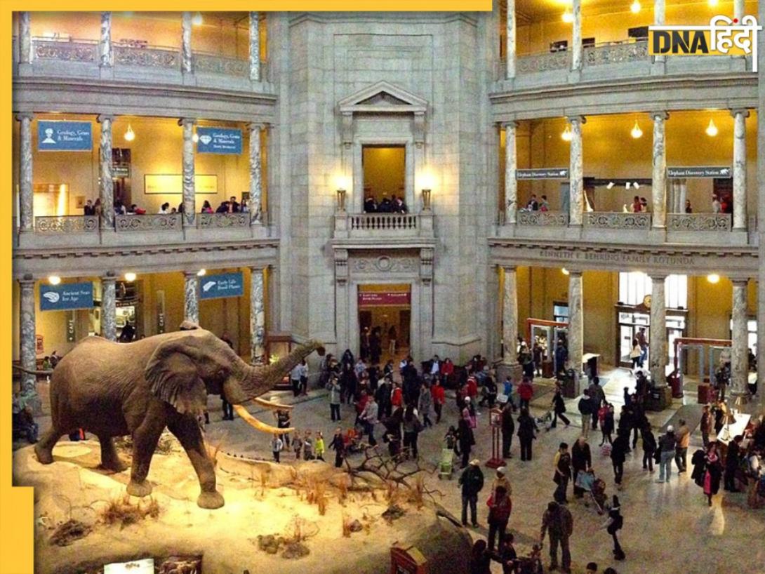 International Museum Day 2025: आज मनाया जा रहा है इंटरनेशनल म्यूजियम डे, दिल्ली के इन 5 म्यूजियम में जाएं घूमने, होगी फ्री एंट्री