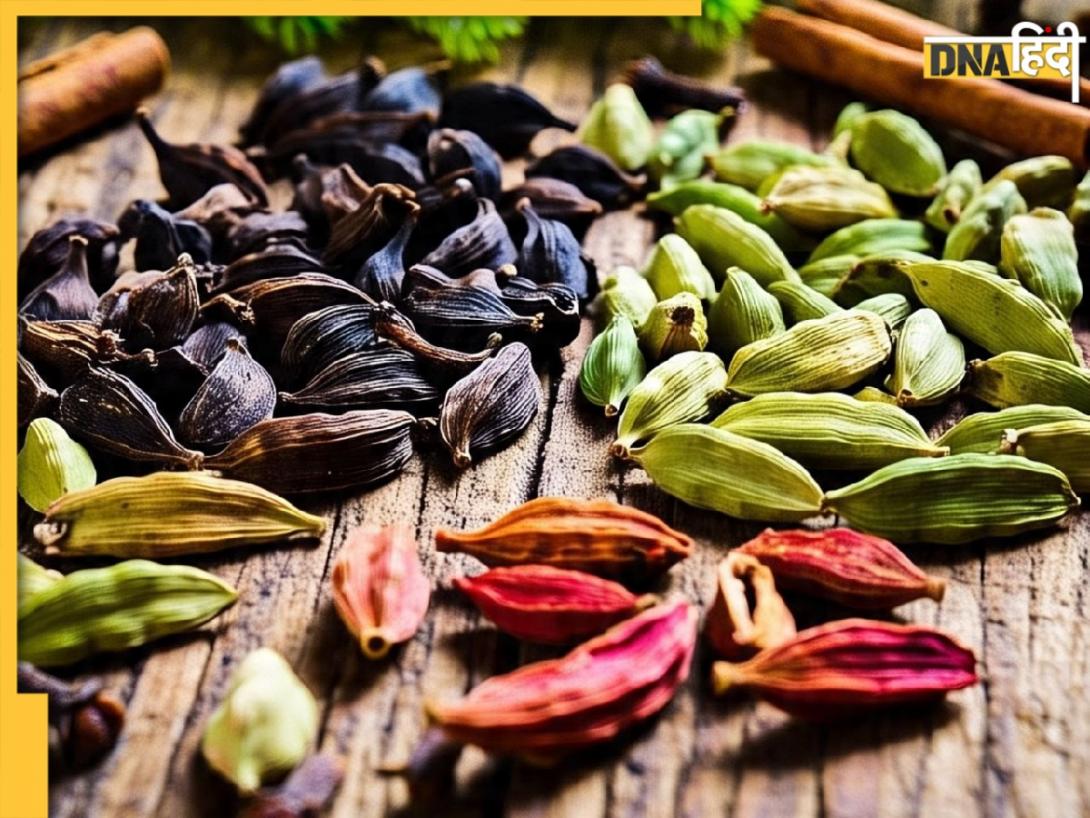 लाल, सफेद, हरी और काली... हर इलायची का अलग स्वाद, जानिए कौन सी कहां होती है इस्तेमाल