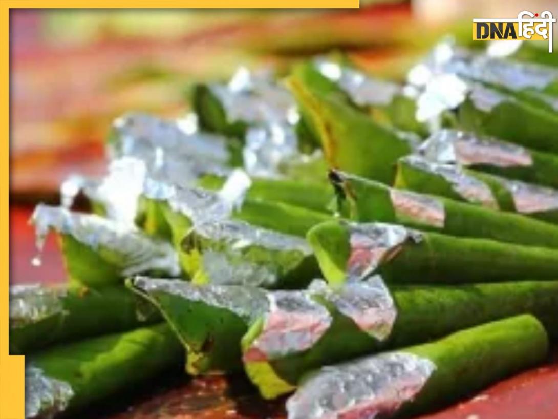 Stale Betel Leaf: कभी नहीं खाने चाहिए बासी पान, जानें इसके फायदे और नुकसान