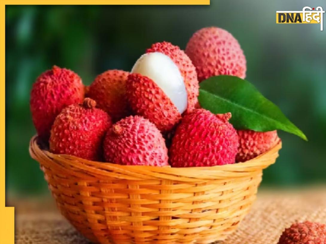 कहीं नकली Lychee तो नहीं खा रहे हैं आप, ऐसे कर सकते हैं असली और केमिकल युक्त लीची की पहचान
