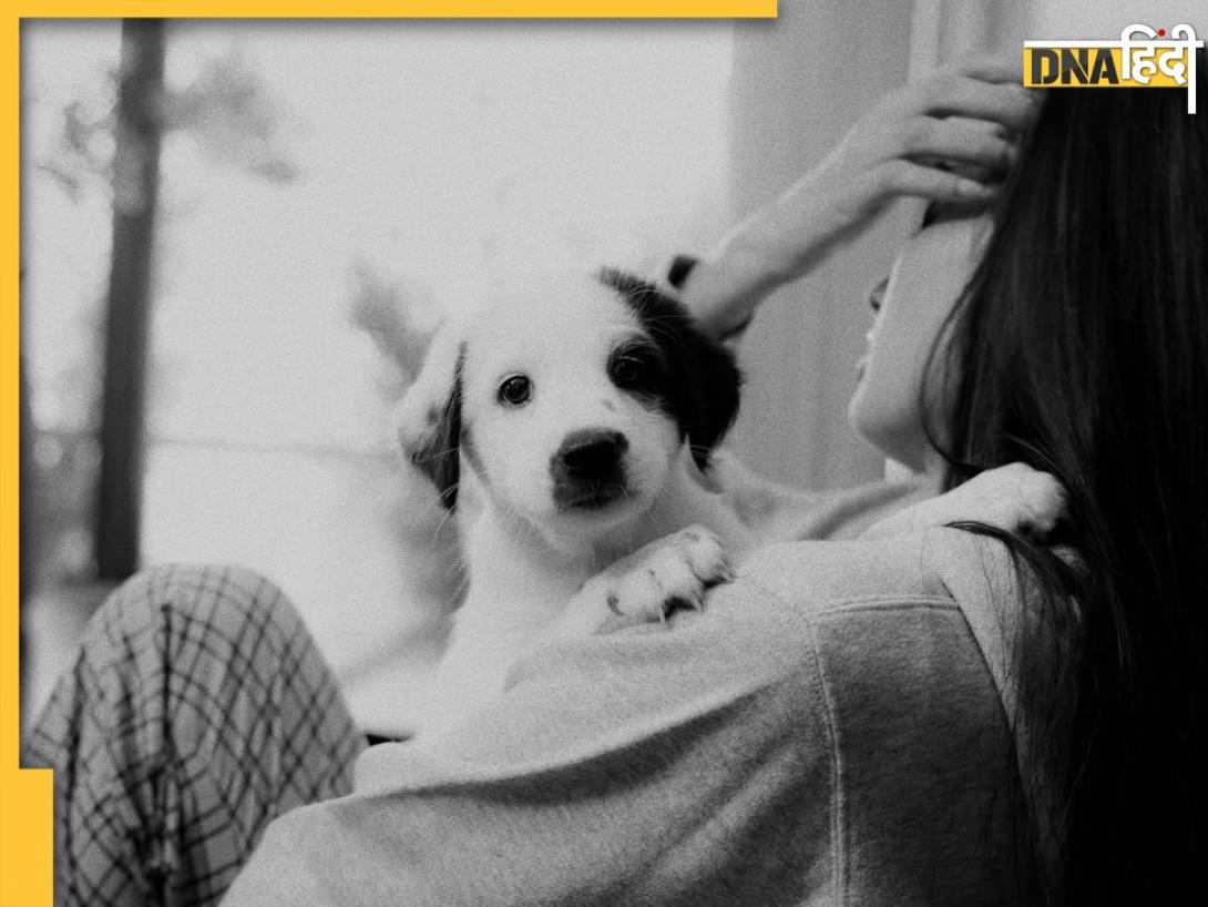 बॉलीवुड की वो Flop स्टारकिड, करियर में कीं सिर्फ 3 मूवीज, एक भी नहीं रही हिट, अब एक्टिंग को ही कहा टाटा-बाय