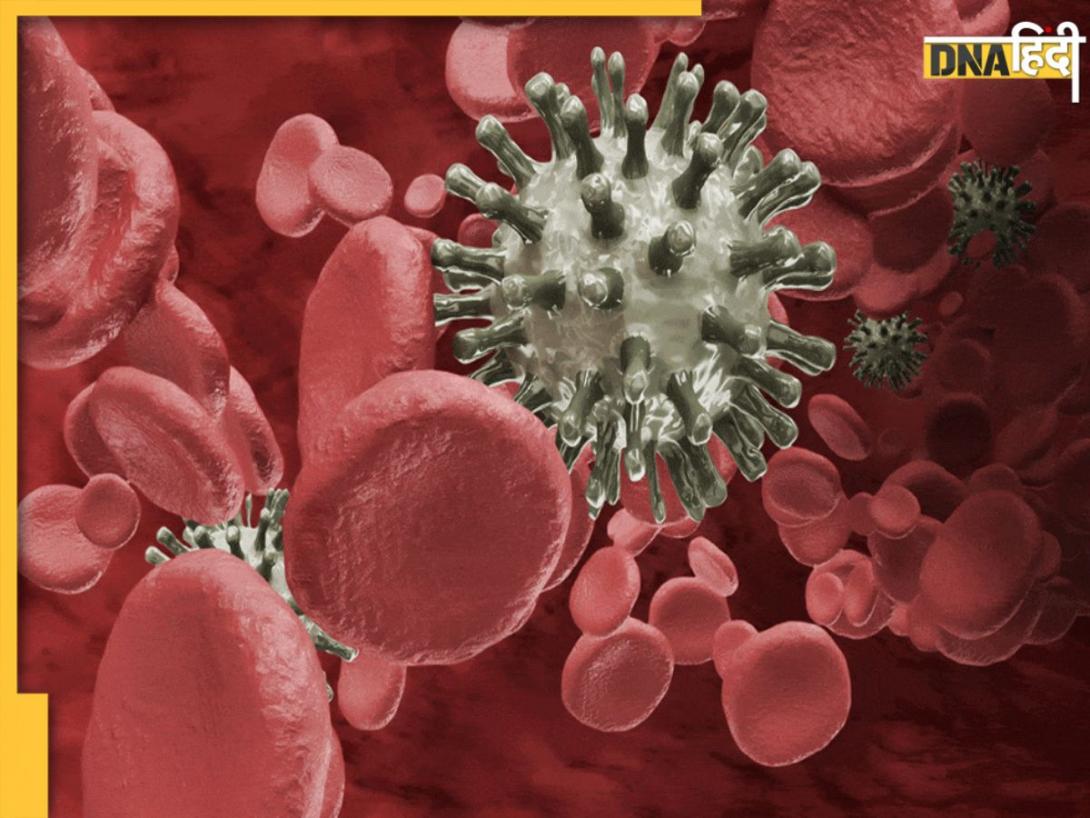 Blood Cancer Treatment: 9 दिन में ब्लड कैंसर ठीक! भारतीय डॉक्टरों की महान सफलता, आखिर क्या है 'वेलकार्थी'?  