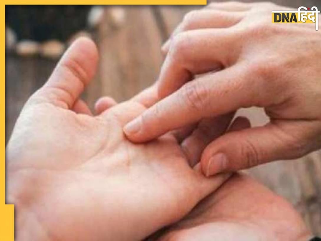 Rahu Lines In Hand: हथेली राहु की ऐसी रेखाएं देती हैं जीवन में परेशानी और दुख, संकटों से भरा होता है एक-एक दिन