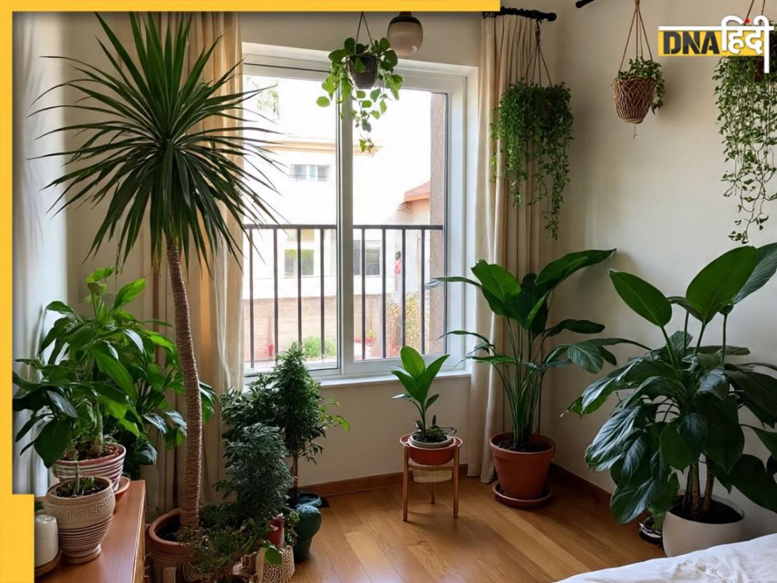 Vastu Tips: सिर्फ मनी प्लांट ही नहीं, घर में इन पौधों को लगाने से भी दूर होती है पैसों की कमी