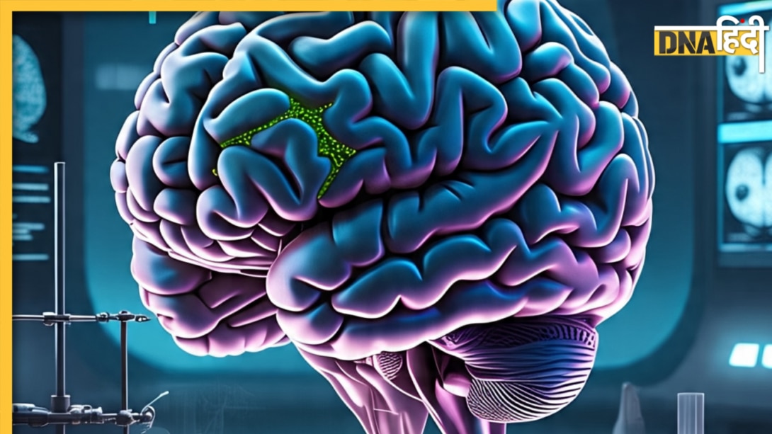 Healthy Brain Tips: रोजाना की ये 5 आदतें जो छात्रों के मानसिक स्वास्थ्य को देती हैं बढ़ावा