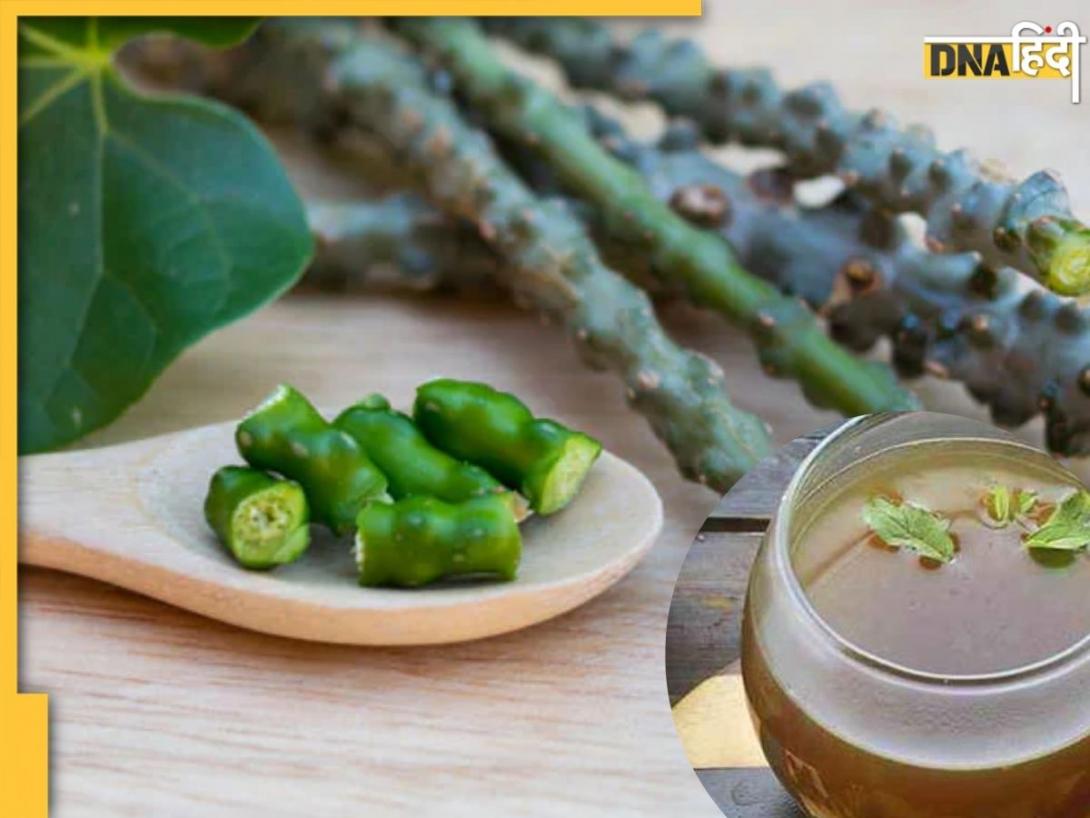 Giloy Juice Benefits: एक-दो नहीं, कई समस्याओं में कारगर है गिलोय का जूस, पीने से मिलते हैं कई फायदे, ऐसे करें तैयार