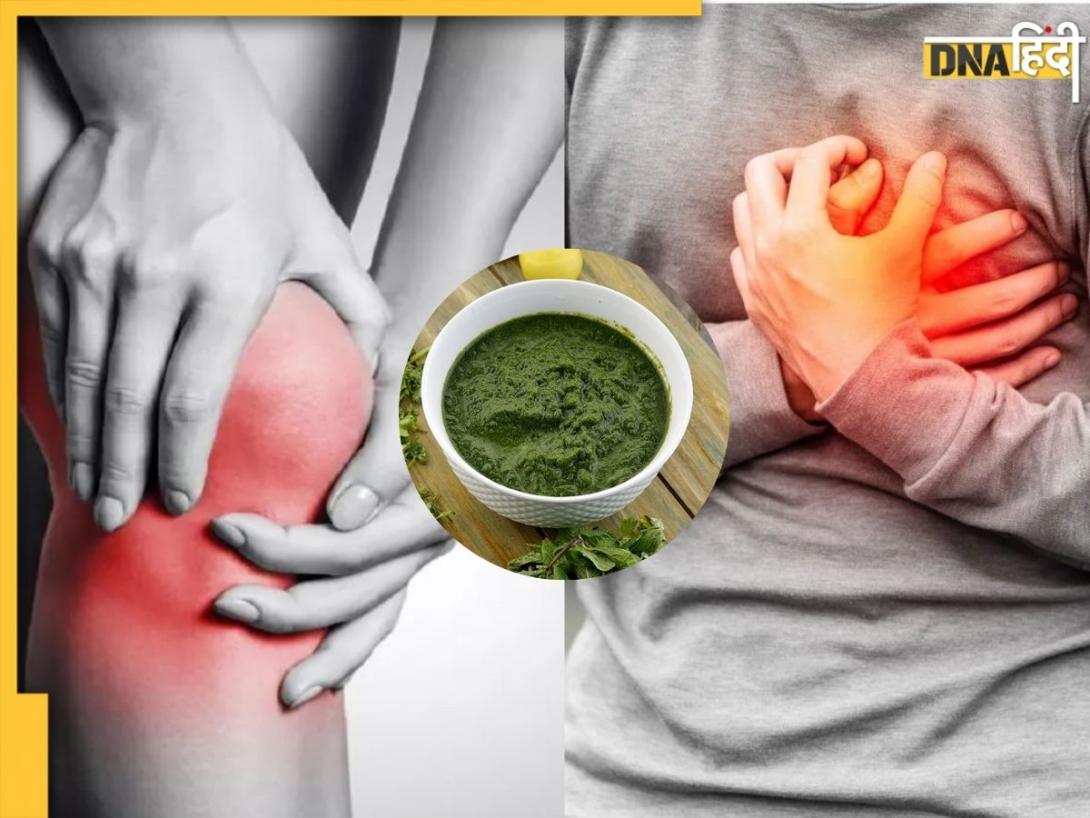 सेहत के लिए फायदेमंद है ये 2 तरह की हरी चटनी, बैड कॉलेस्ट्रोल और यूरिक एसिड की कर देगी छुट्टी
