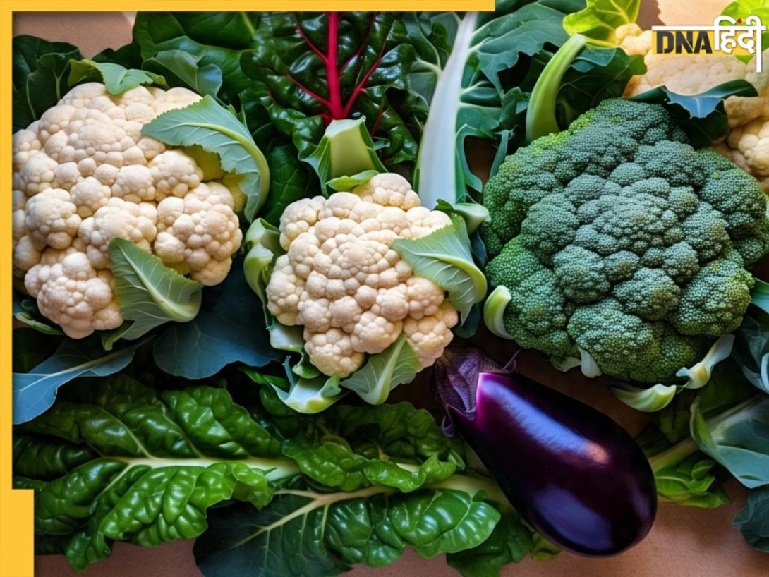 Monsoon Diet: मानसून में ये सब्जियां बन जाती हैं कीड़ों का घर, बारिश शुरू होते ही डाइट से करें बाहर