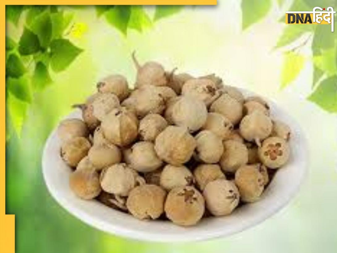 क्या होते हैं पनीर के फूल, जानिए कैसे किया जाता है उपयोग? 