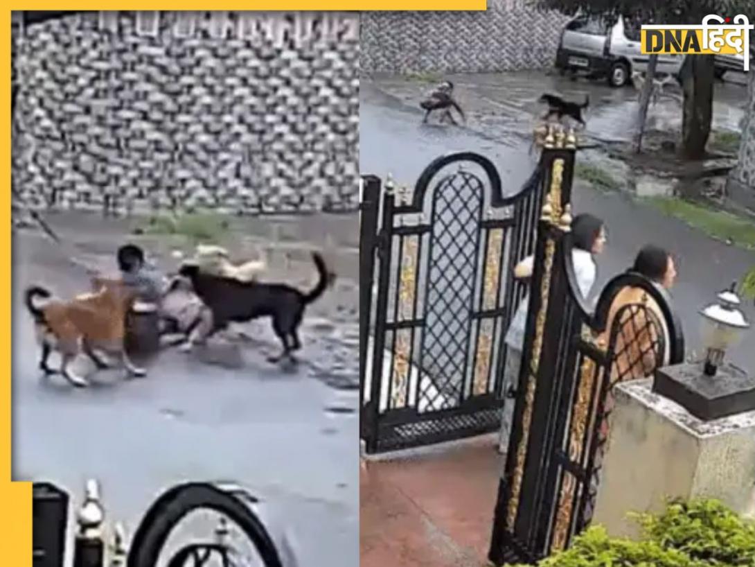 Shocking Video: घर से खेलने निकले बच्चे का कुत्तों ने घेरकर किया 'शिकार', दहला देगा Udaipur का वायरल वीडियो