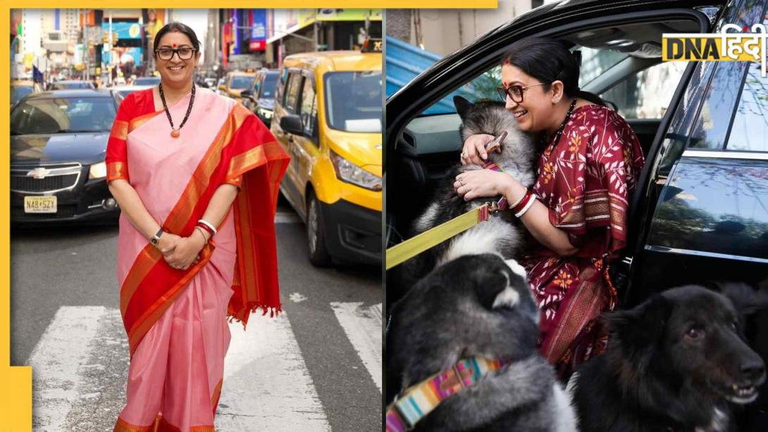 जब घर-घर की फेवरिट बहू 'तुलसी' ने राजनीति में गाड़े झंडे, कैसा रहा स्मृति ईरानी का पॉलिटिकल सफर
