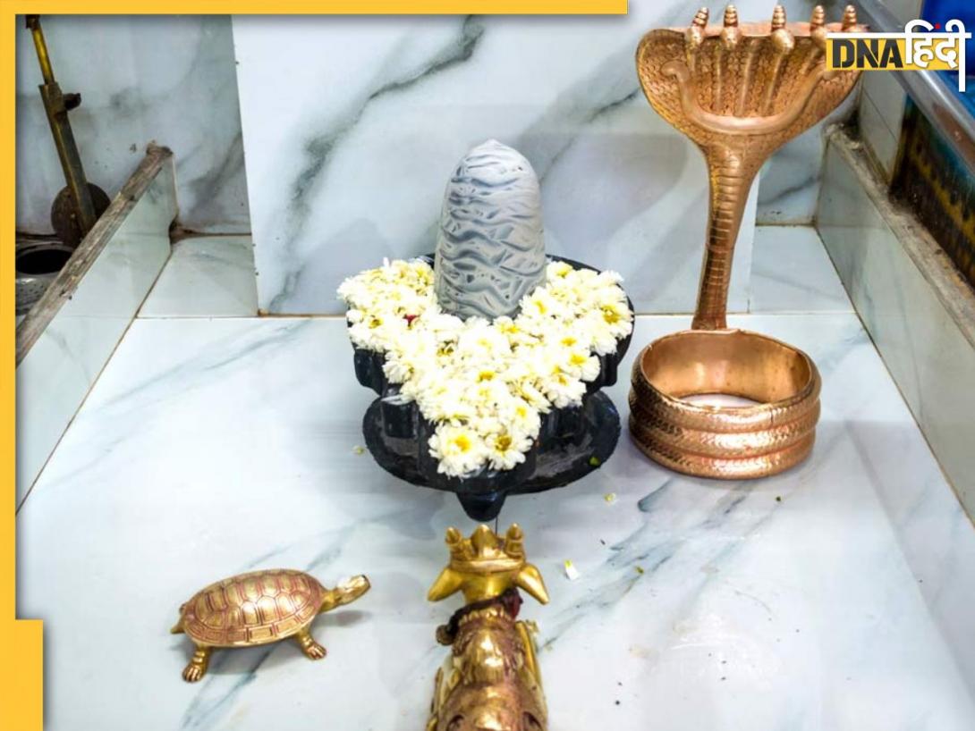 Sawan Shivling Puja: सावन महीने में घर के अंदर किस शिवलिंग की करनी चाहिए पूजा, जानें जलाभिषेक के साथ ही पूजा के लाभ