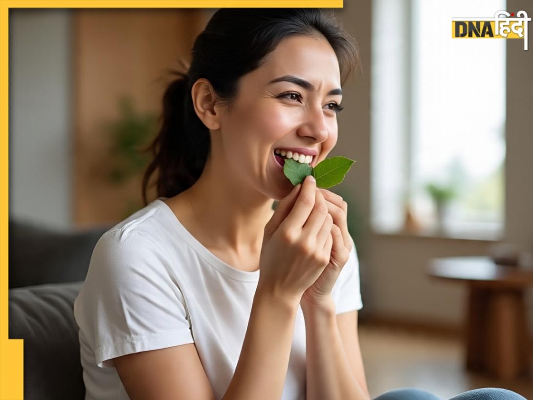 Diabetes Remedy: शुगर रखना है कंट्रोल तो चबाएं इस बारहमासी पौधे का फूल, जान लें सही तरीका 