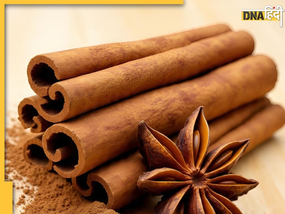 Dalchini Health Benefits: वजन घटाने में कितना फायदेमंद है दालचीनी? जानें क्या है इसके सेवन का सही तरीका 