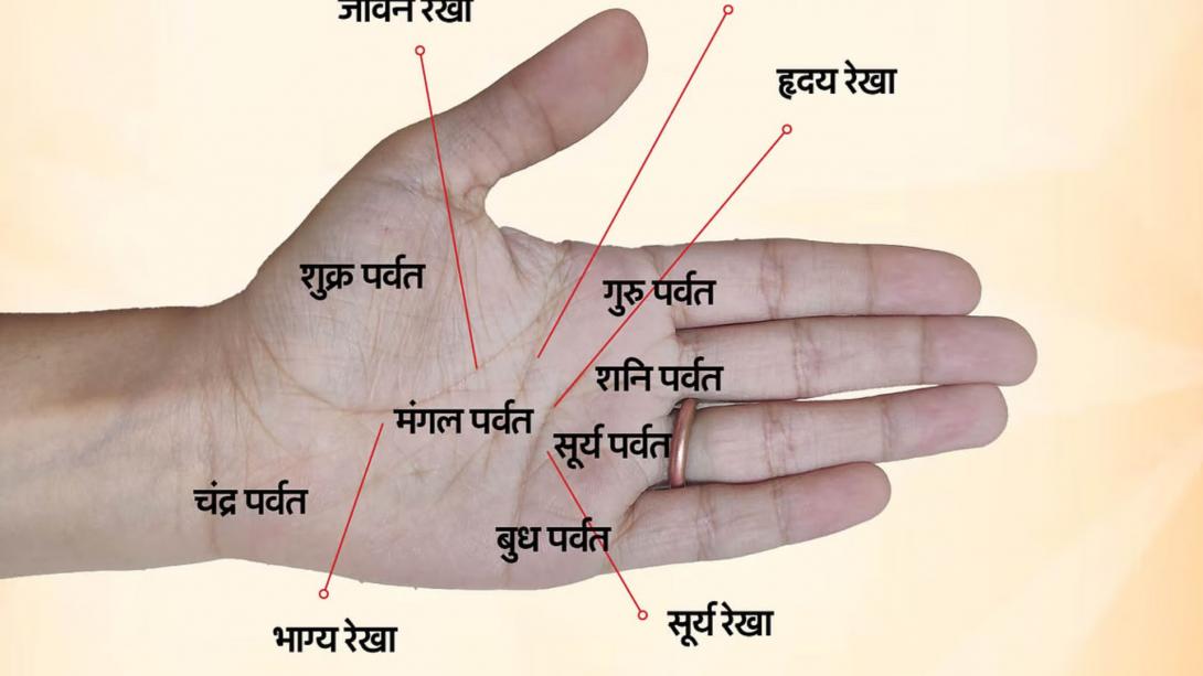 Palmistry: हथेली में शुक्र पर्वत होने पर धन दौलत के साथ मिलता सच्चा प्यार, न होने पर ऐसे कटता है जीवन