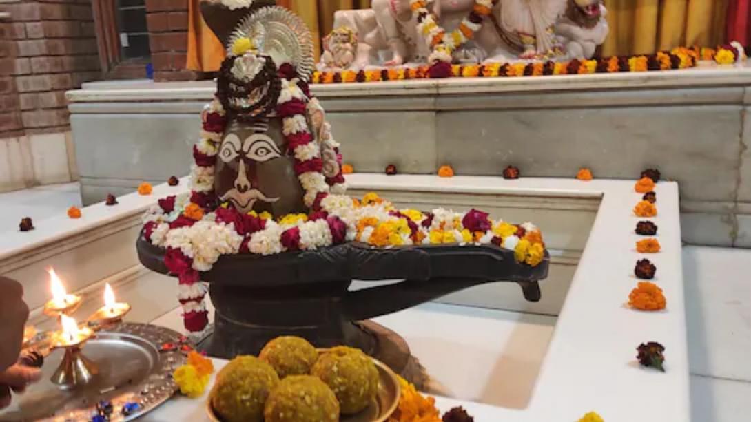 Nag Panchami 2025: नाग पंचमी पर शिवलिंग पर अर्पित करें ये 6 चीज, महादेव की होगी पूरी कृपा 