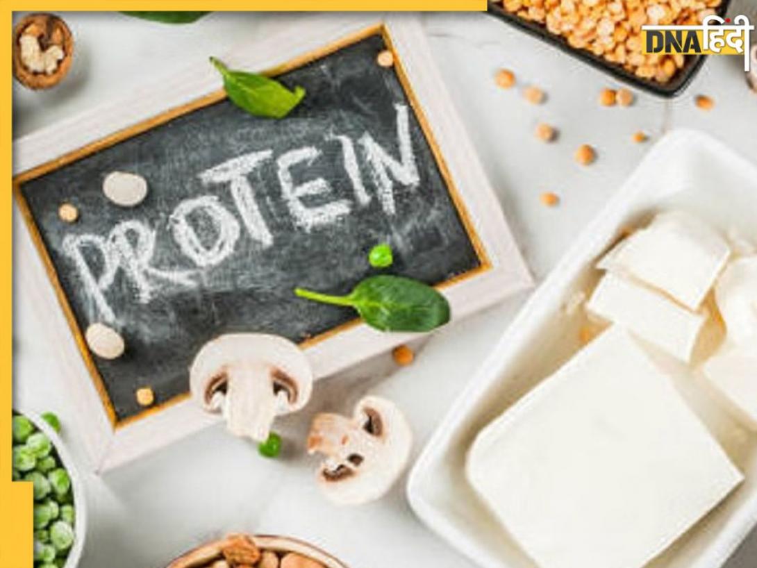 नॉनवेज नहीं, इन शाकाहारी चीजों को खाने से मिलेगा भरपूर प्रोटीन, ये हैं 5 Plant Based Protein Foods