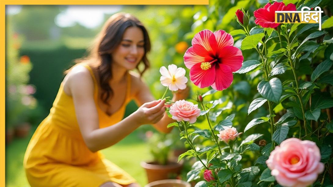  ये 5 फूल हैं धन कमाने की मशीन हैं, सुस्त पड़े ग्रह एक्टिवेट होते ही भरने लगेंगे तिजोरी में पैसा
