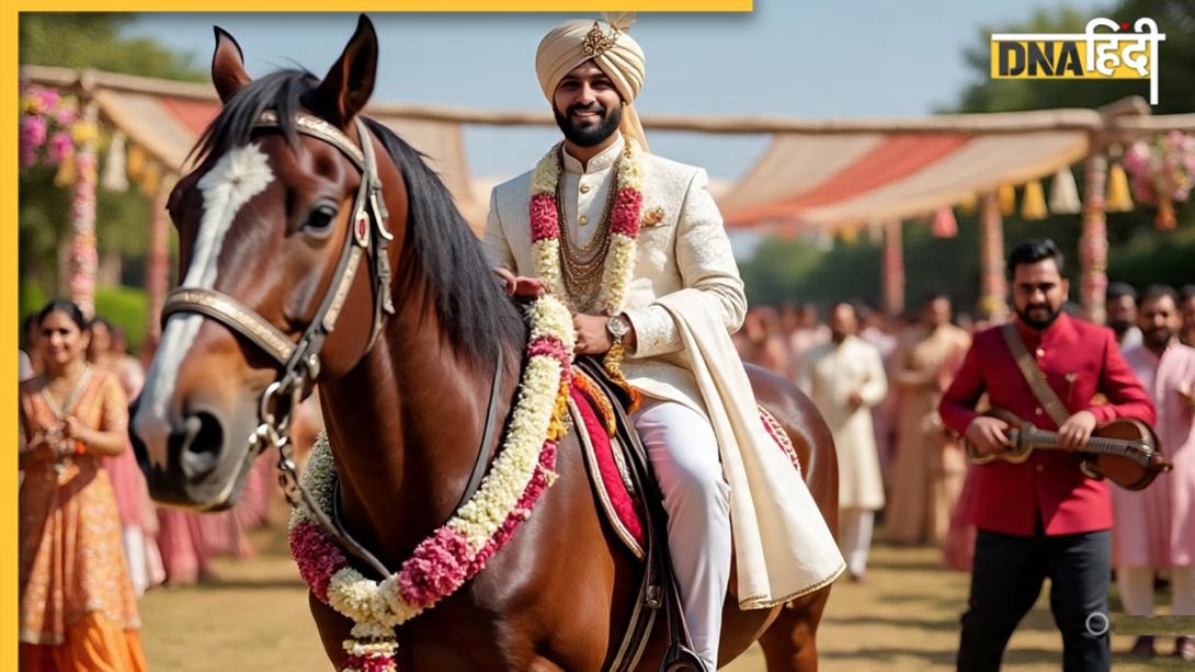 दूल्हे को घोड़े पर नहीं, घोड़ी पर क्यों बिठाया जाता है? 90% शादीशुदा लोग नहीं जानते वजह