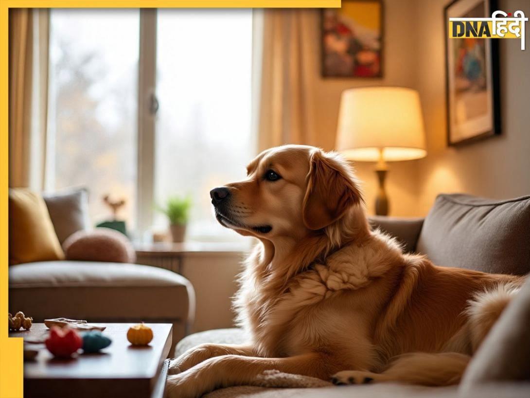 Dog Astrology: घर में कुत्ता रखने से मजबूत होते हैं ये 2 ग्रह, जीवन में सुख संपत्ति और धन की नहीं होती कमी